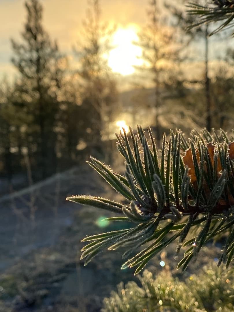 Фото похода